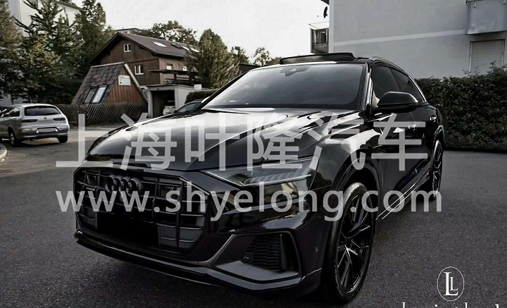 Q8 10188 黑黑 (3).jpg